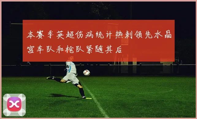 本赛季英超伤病统计热刺领先水晶宫车队和枪队紧随其后